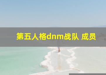 第五人格dnm战队 成员